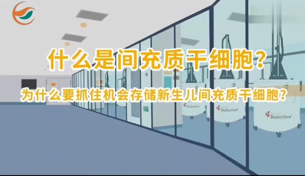 什么是间充质干细胞？