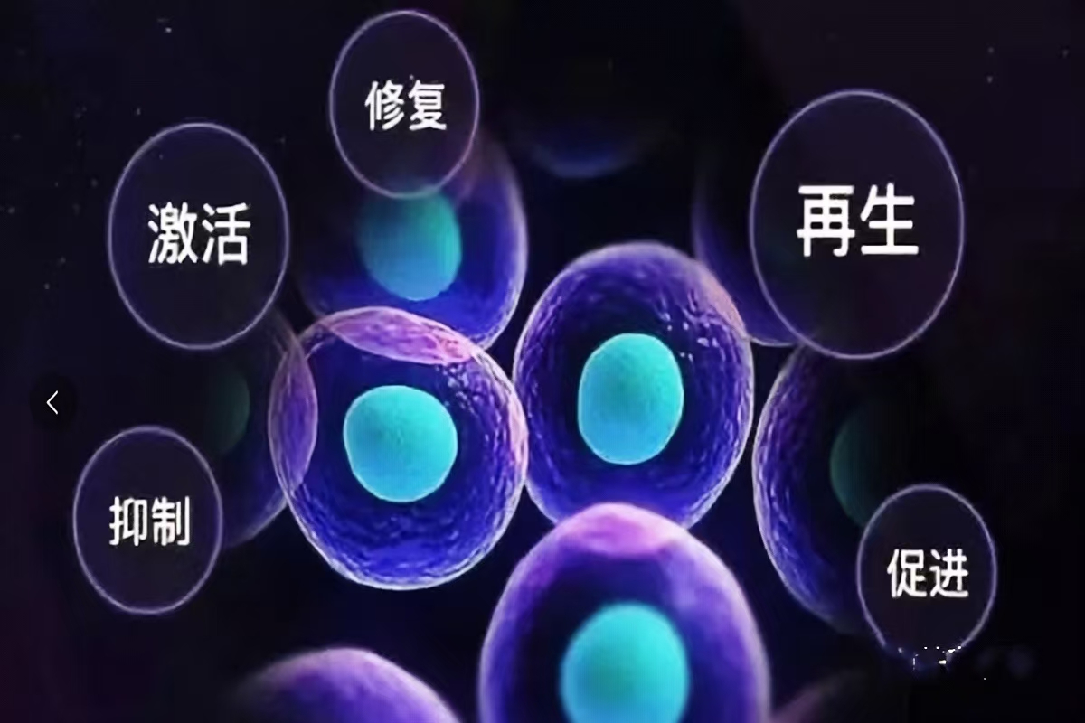 神奇的再生医学